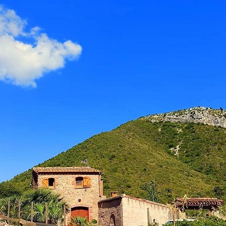 Maison d'hôtes Corral D'En Romagosa à Begues Extérieur photo